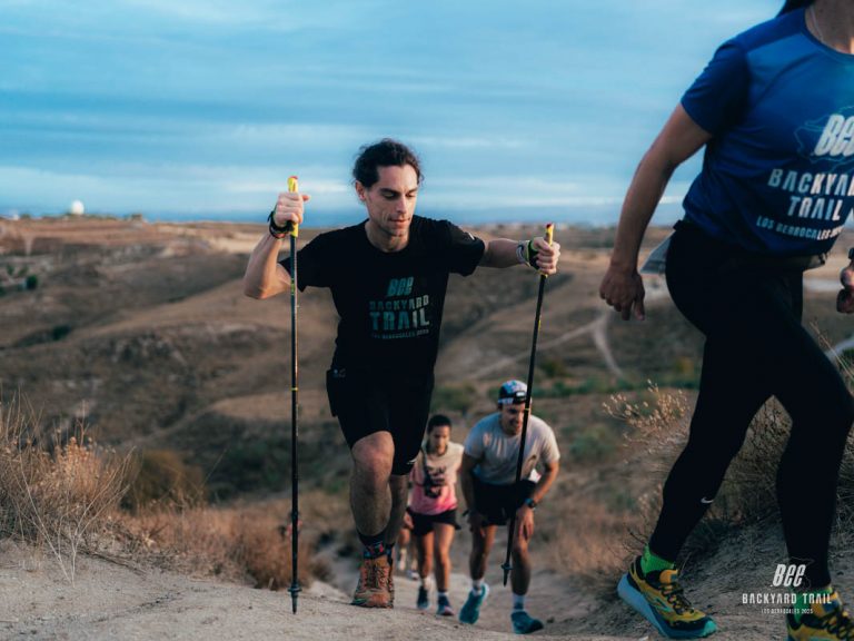 01_BEEBACKYARD2025-37