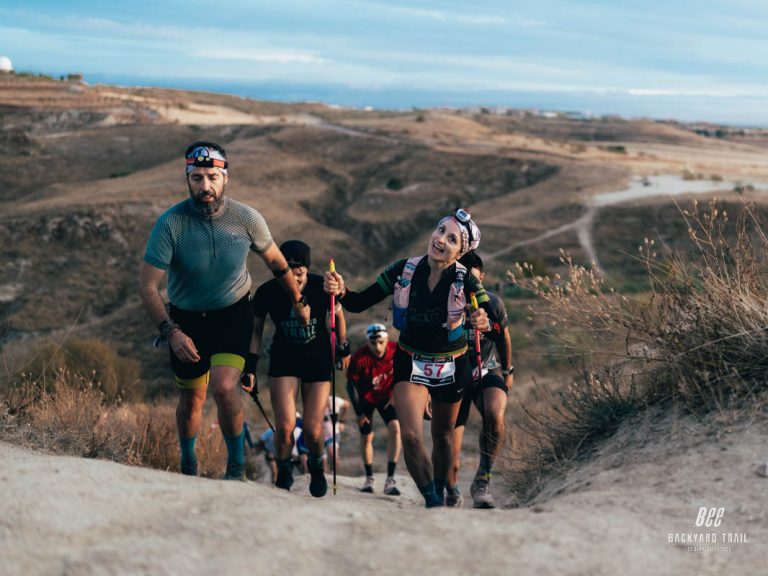 01_BEEBACKYARD2025-49