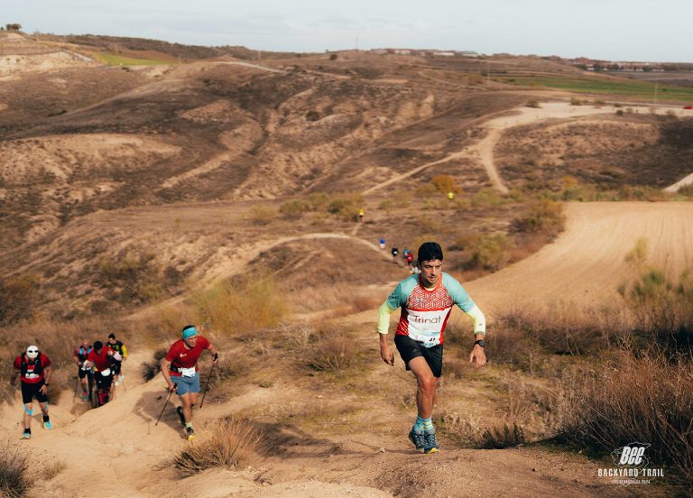 Bee-backyard-trail-2024